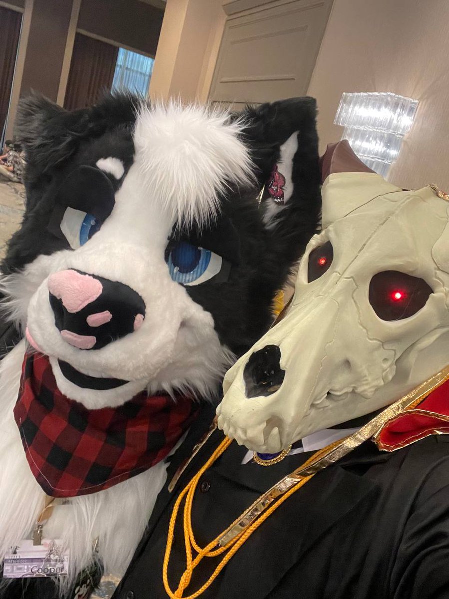 Cody&Cooper@TFF🤪 tweet media