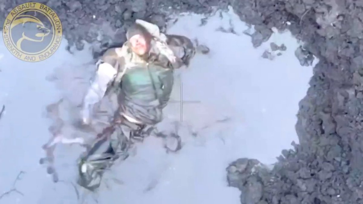 Sinus Alpha tweet media