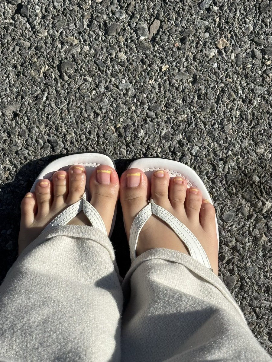 Princess may εïз findom! tweet media