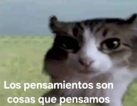 Si te sigo eres un tibio #TibiosDeCojones🍁 tweet media