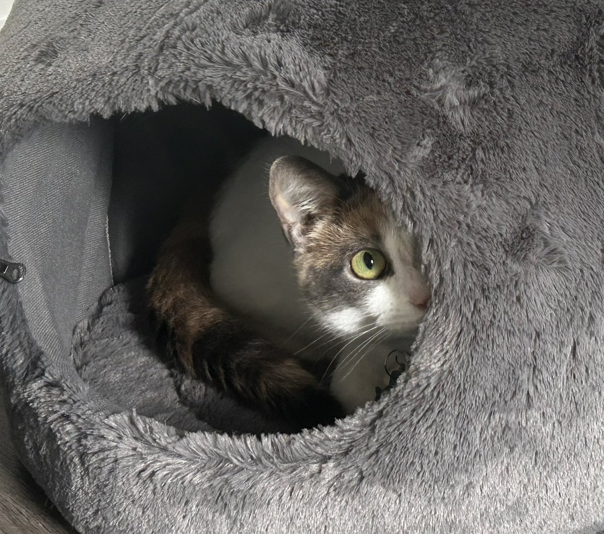 D2 S'phtposting ⬛️⬜️🟪 tweet media