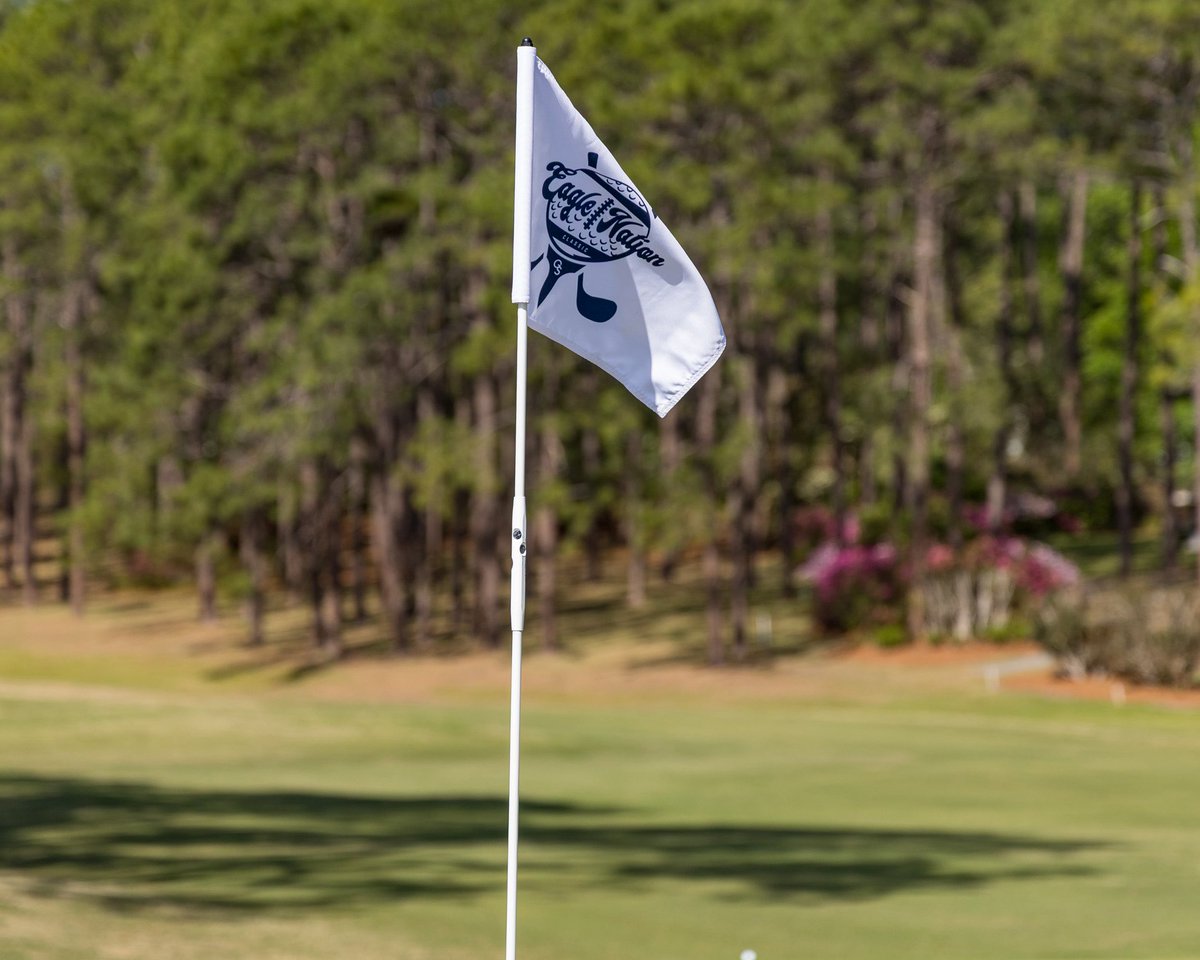 Georgia Southern Football tweet media