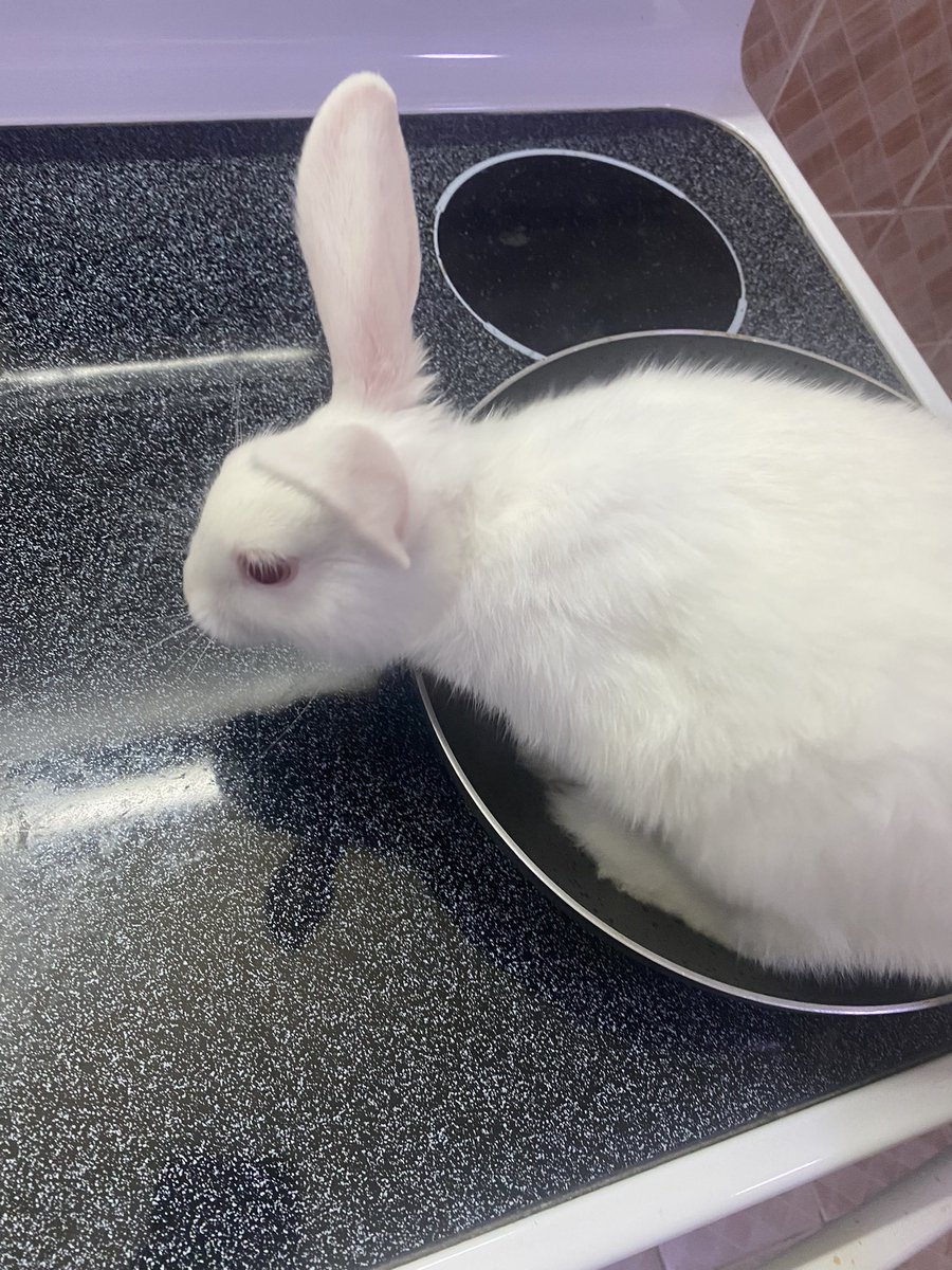 ☆ Aura (ia getting a degree) tweet media