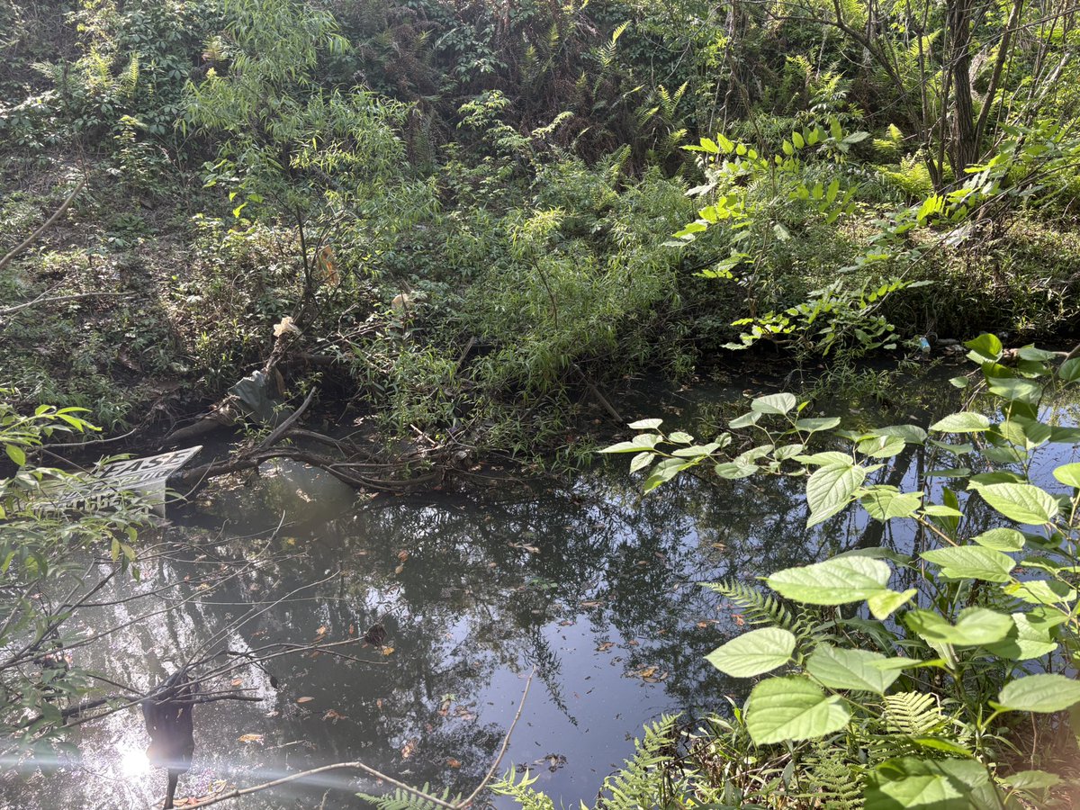 𐔌 💥 ﾒ katsuki of ___twt ⸝⸝ tweet media