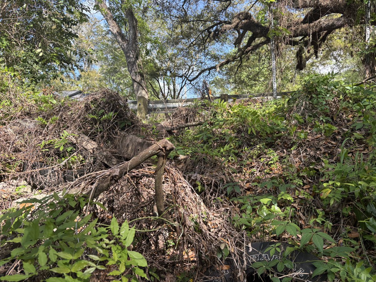 𐔌 💥 ﾒ katsuki of ___twt ⸝⸝ tweet media