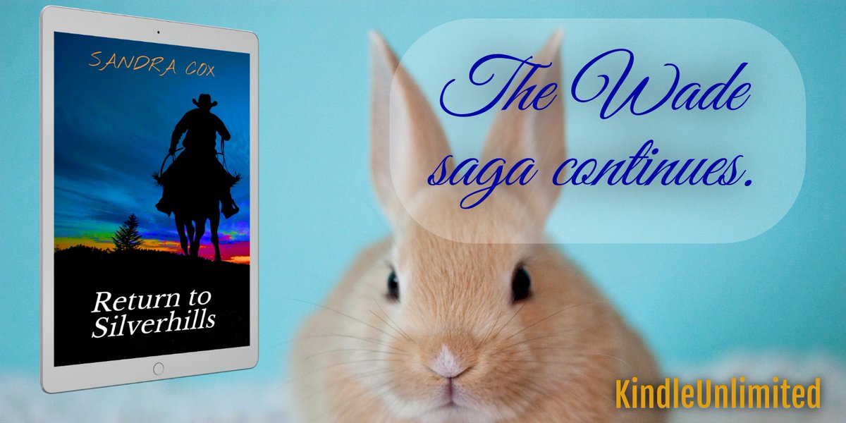 Sandra Cox tweet media