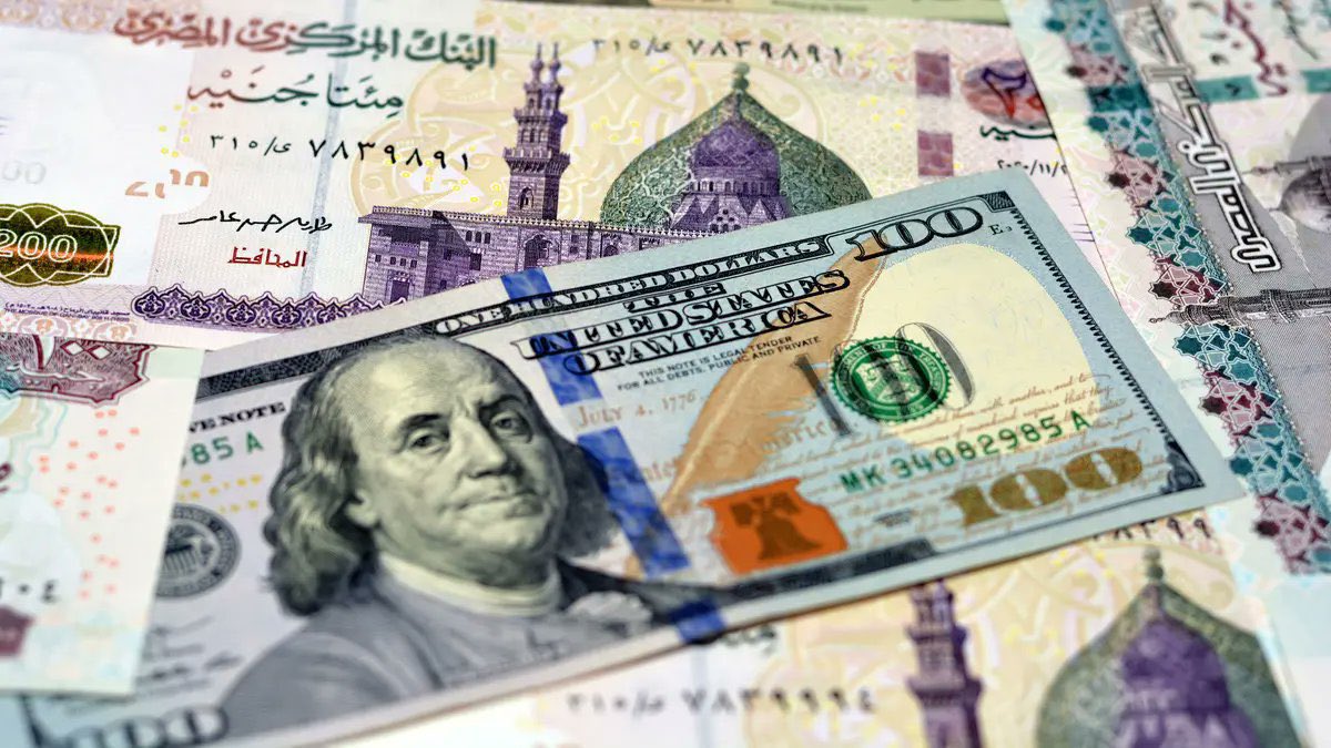 مصر بعيون خليجية tweet media