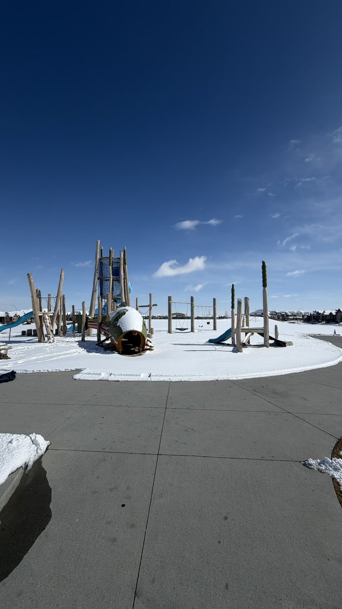 मोहन tweet media