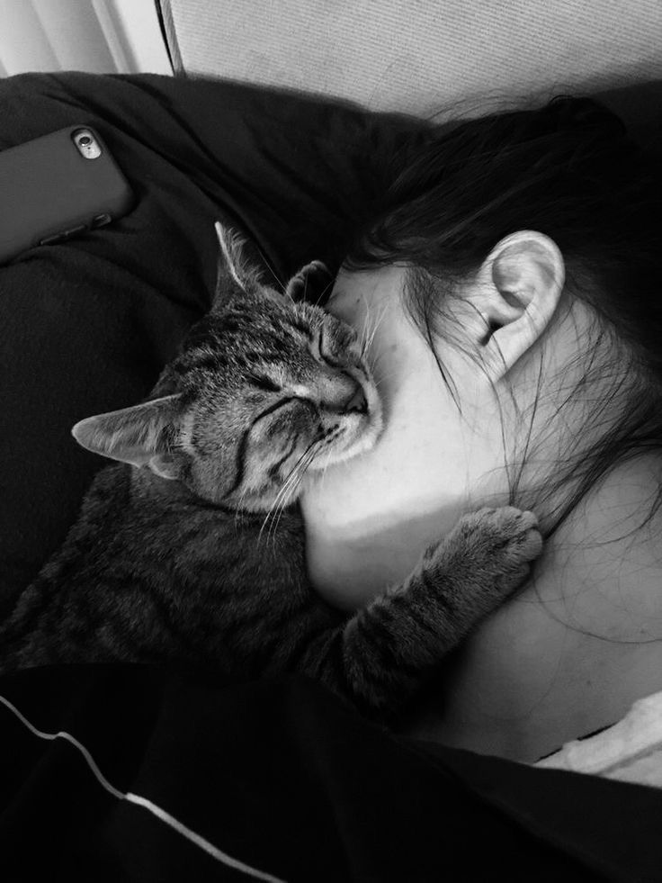 Ｌ o L a H O O P✨ tweet media