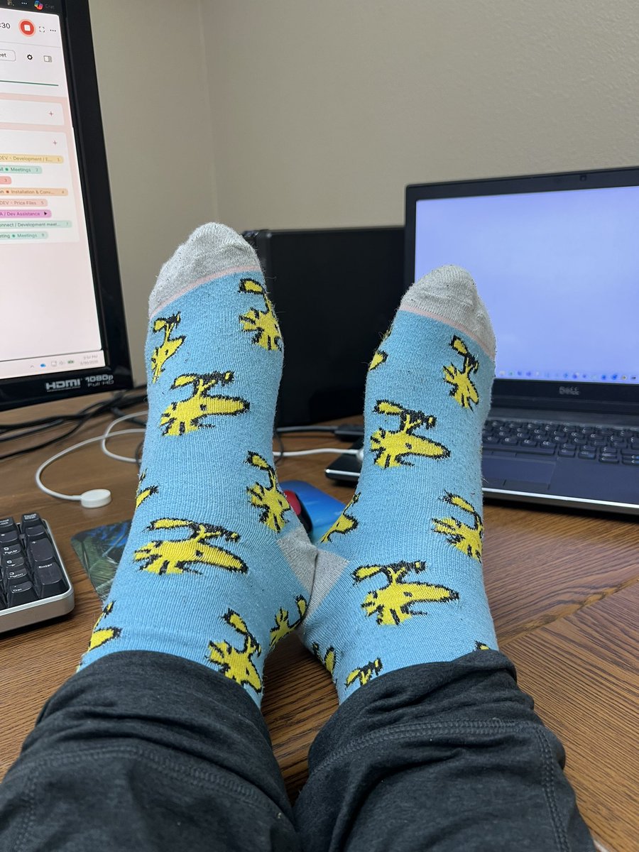 Haiku Hare tweet media