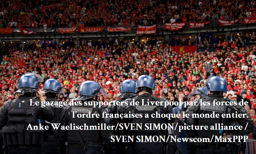 Mr. Mountakhab ⭐️⭐️ tweet media