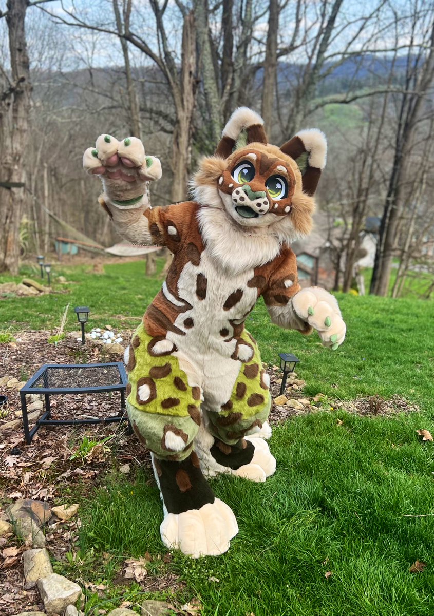 Lily Moon suits tweet media