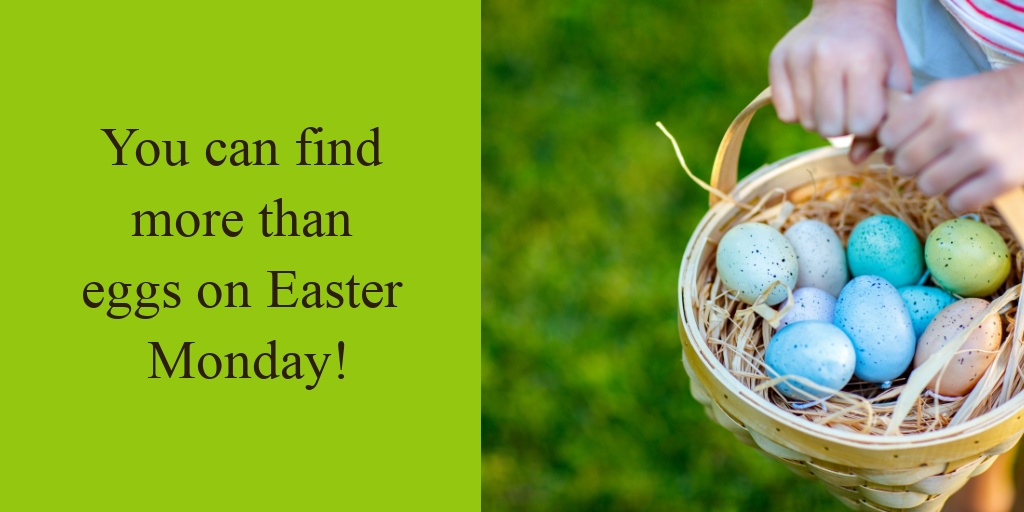 Centre Wellington Hydro tweet media