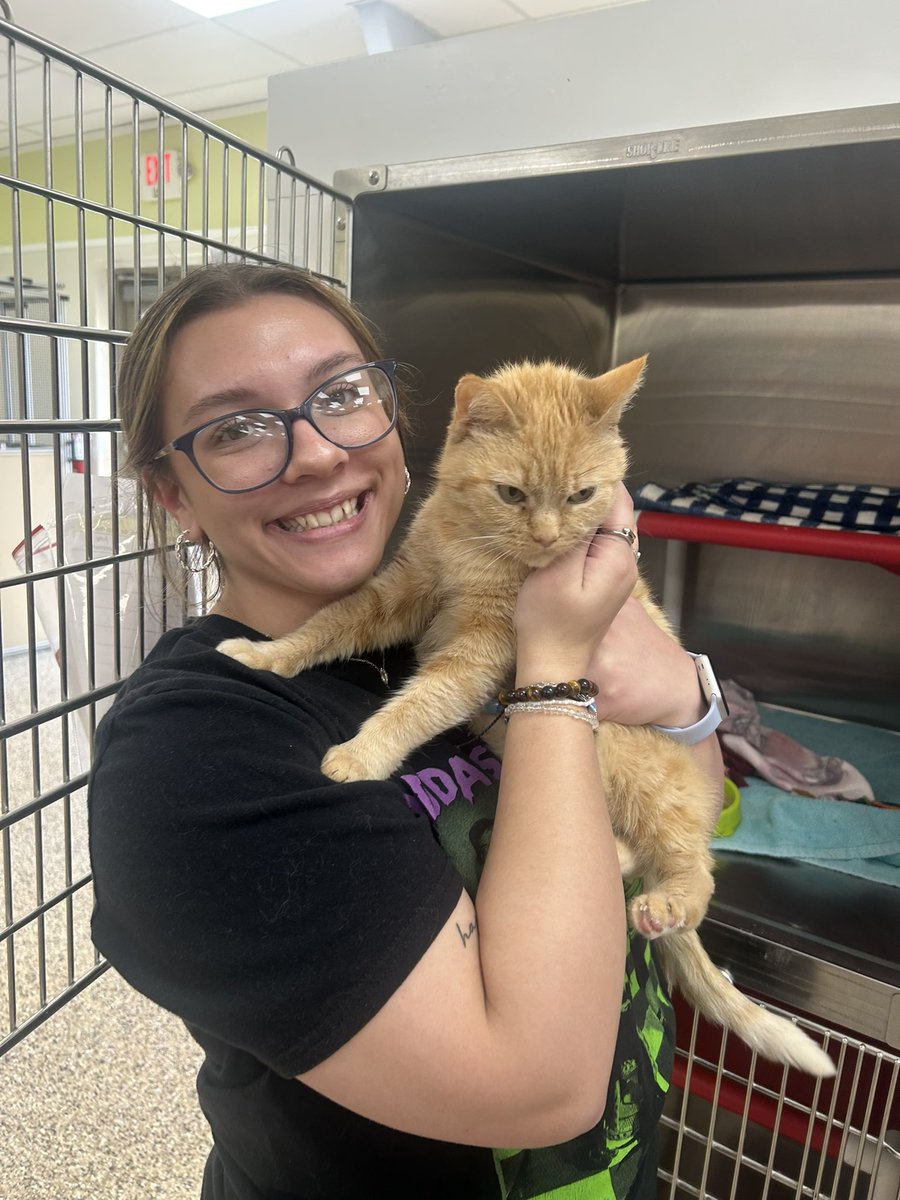 SPCA Cincinnati tweet media