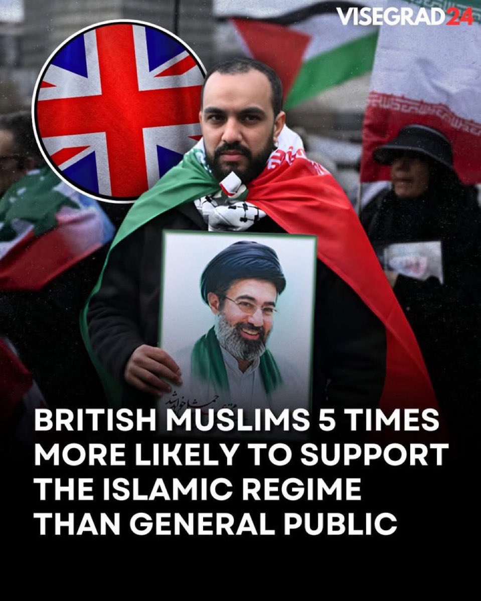 Lion&Sun tweet media