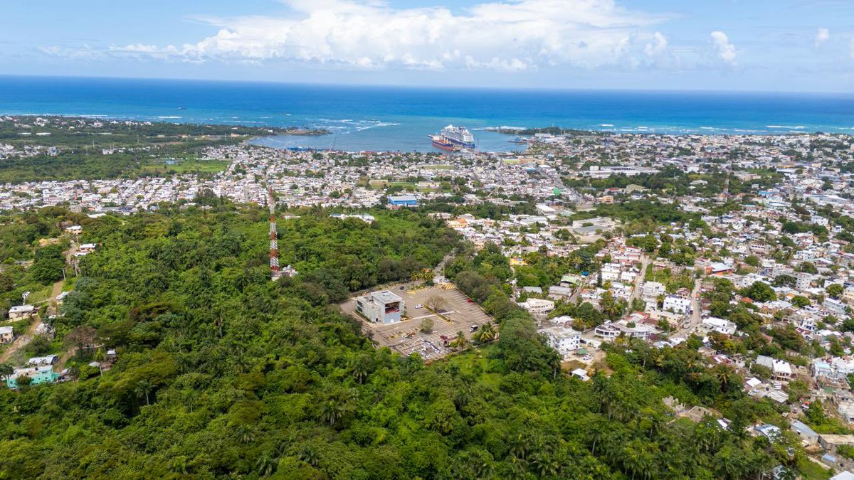 David Collado tweet media