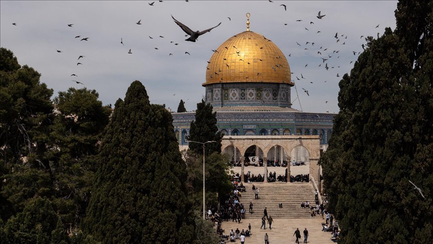 تحديث الأخبار tweet media