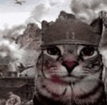 21rezeii tweet media