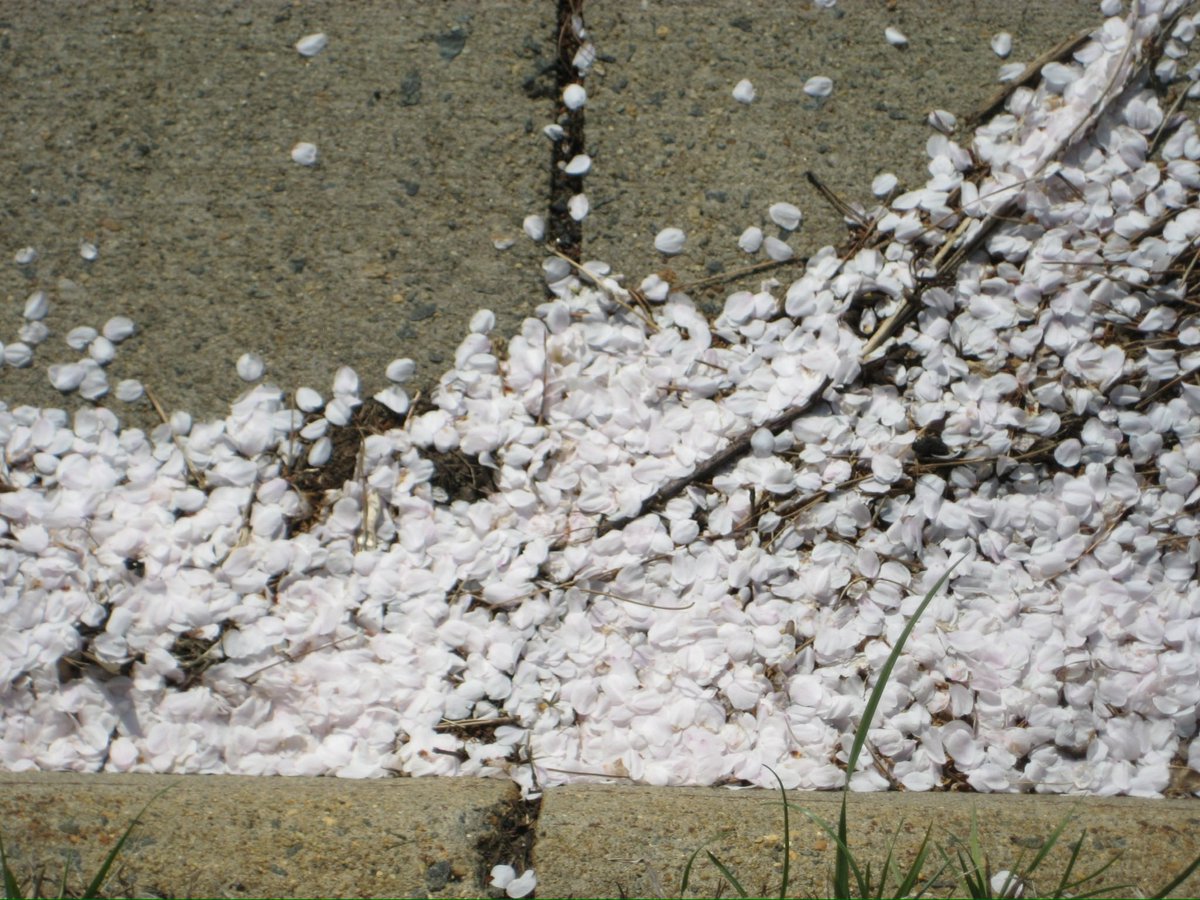 faith⋆｡𖦹 tweet media