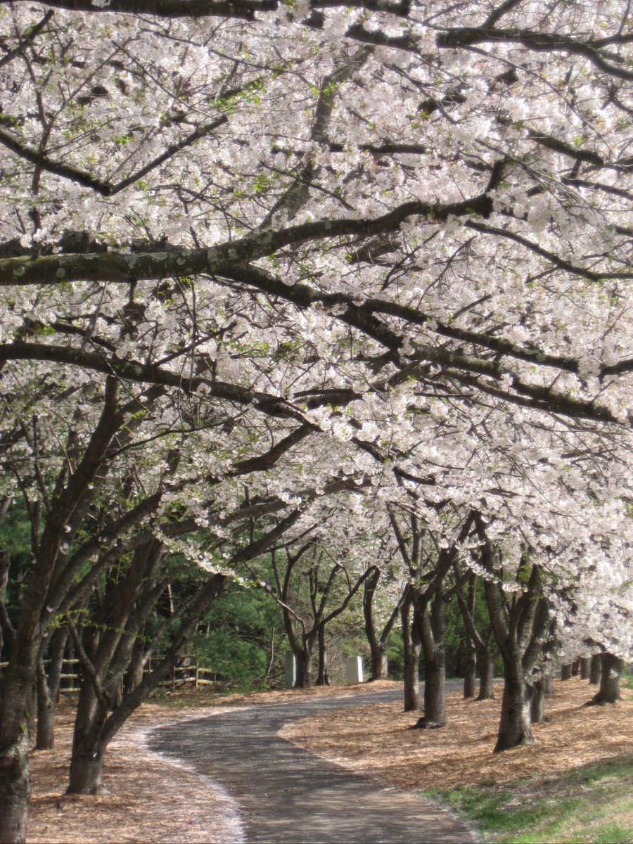 faith⋆｡𖦹 tweet media