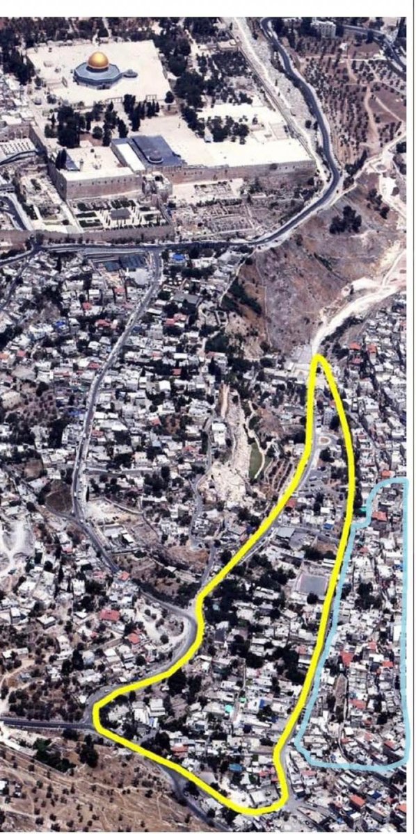 Good Shepherd Collective tweet media