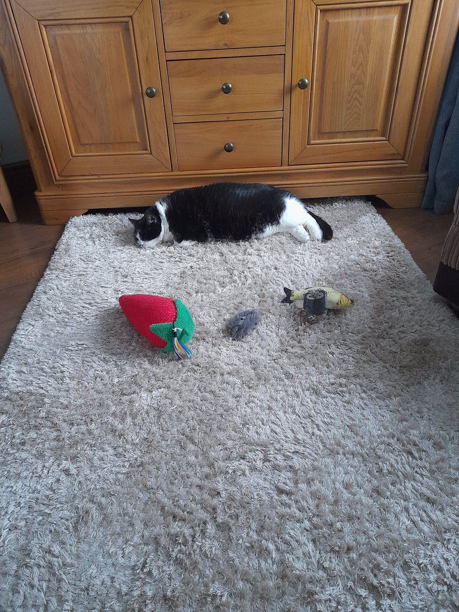 Martin Powell tweet media