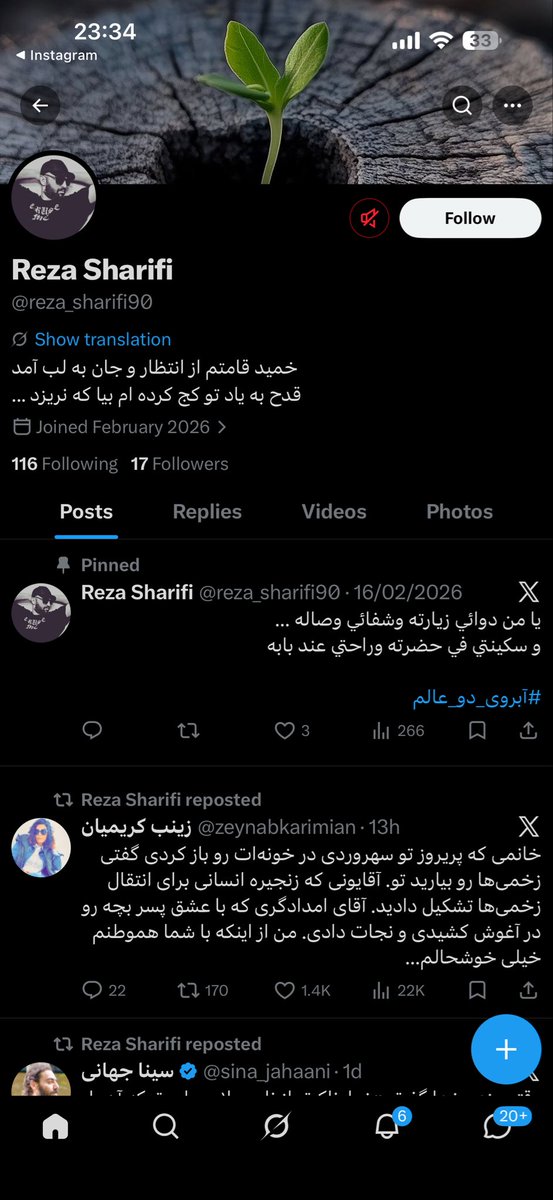 i_cypress. tweet media