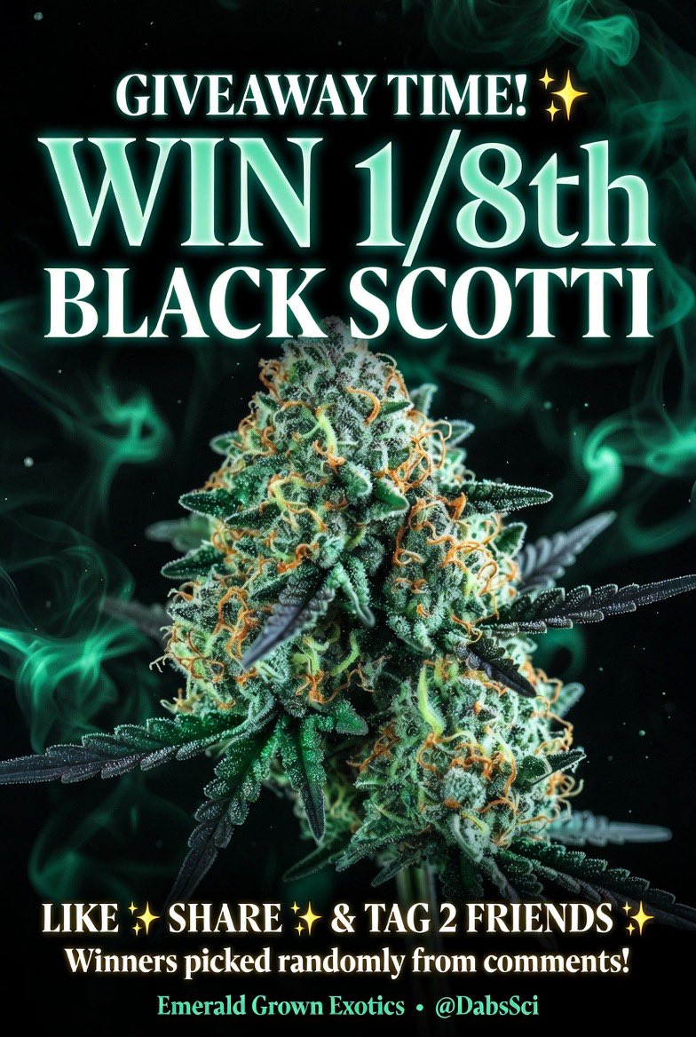 🦆 Duck Fam! Giveaway 🔥

Win 1/8th Black Scotti
LIKE ❤️
REPOST 🔄
TAG 2 friends in the comments

I’m gonna pick a few winners from the comments Good luck everyone