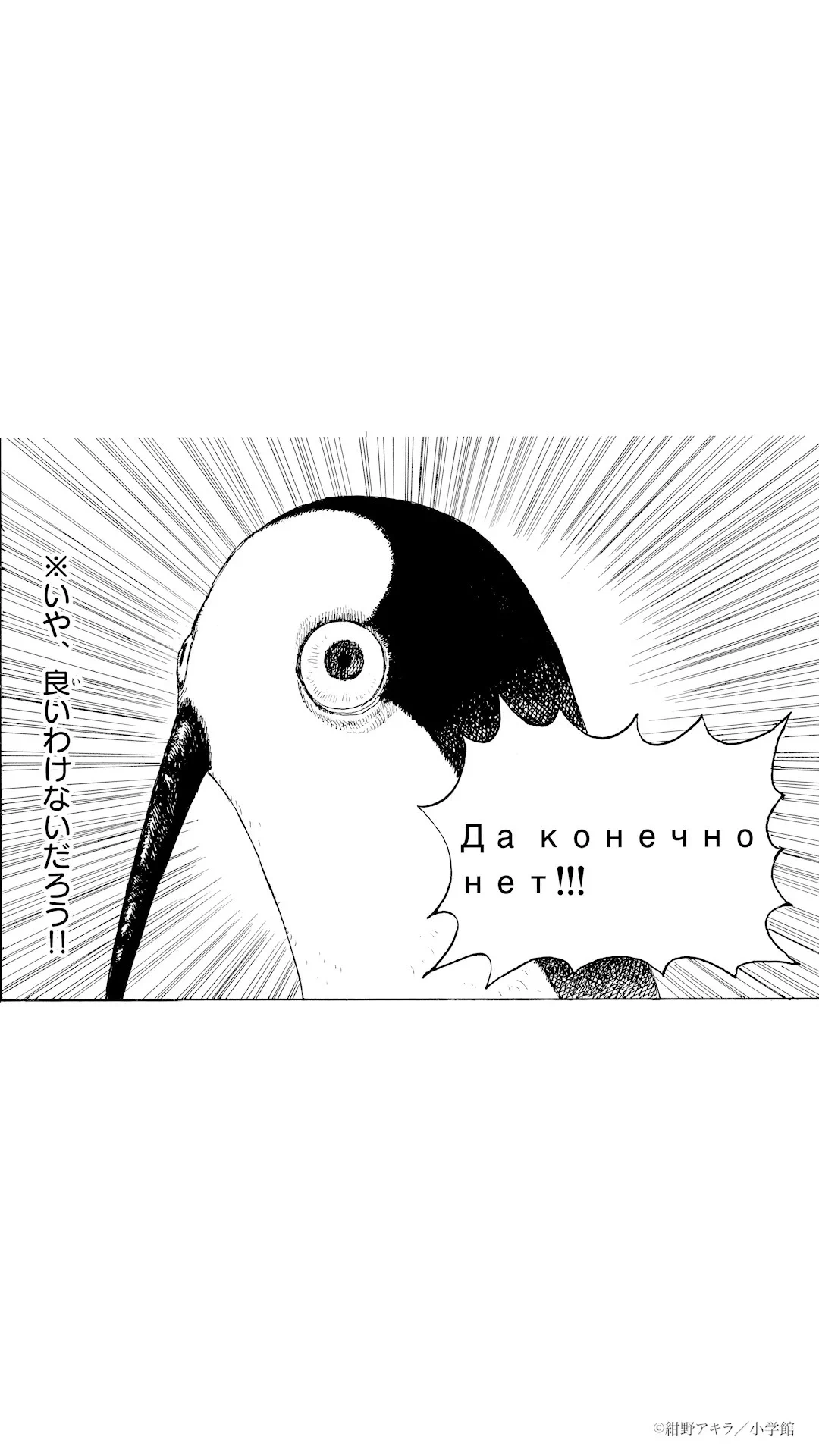 クジマ歌えば家ほろろ」TVアニメ公式 on X: 