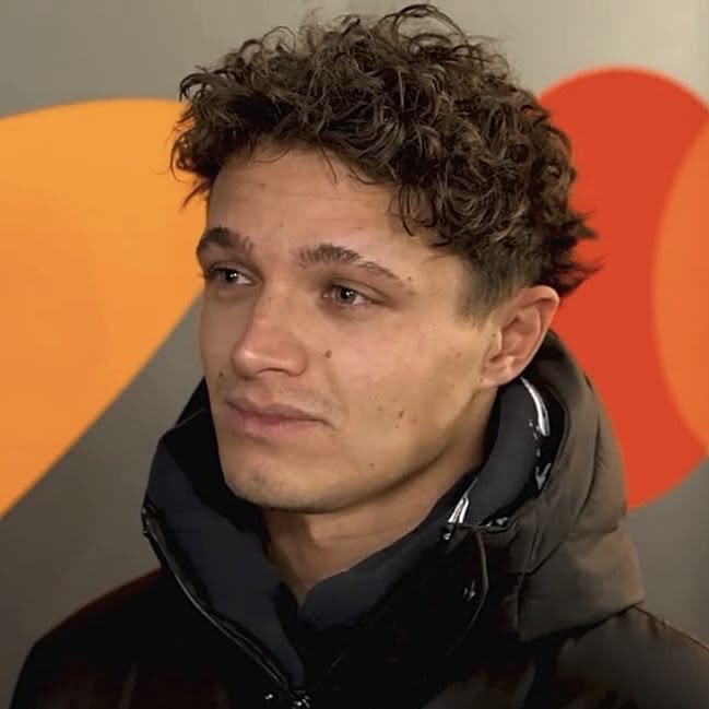 cachorrinho da raça Lando Norris