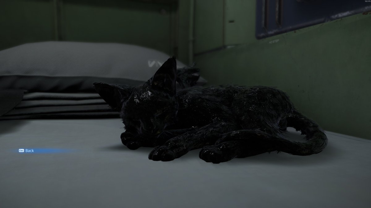 .incu// comms open tweet media