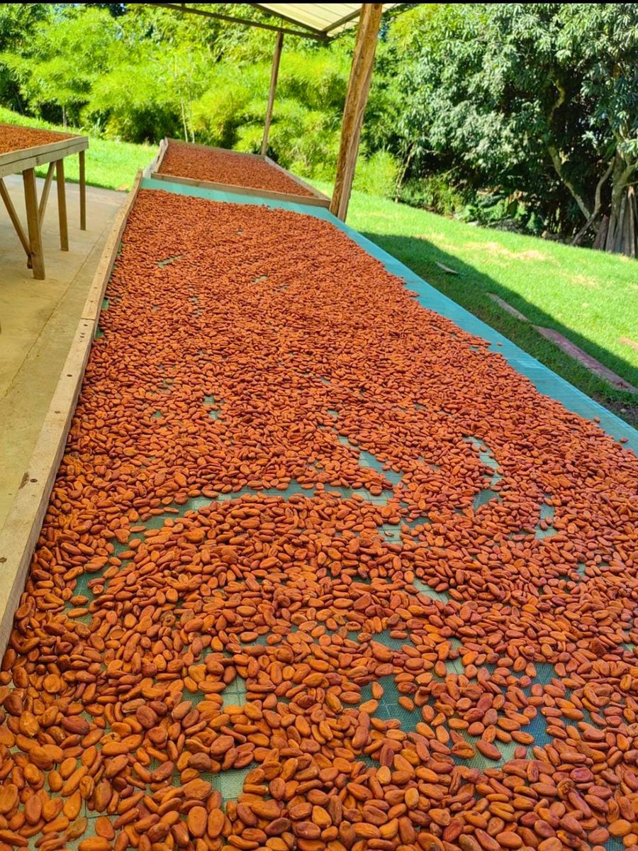 Emilio Contreras Martínez de Escobar tweet media