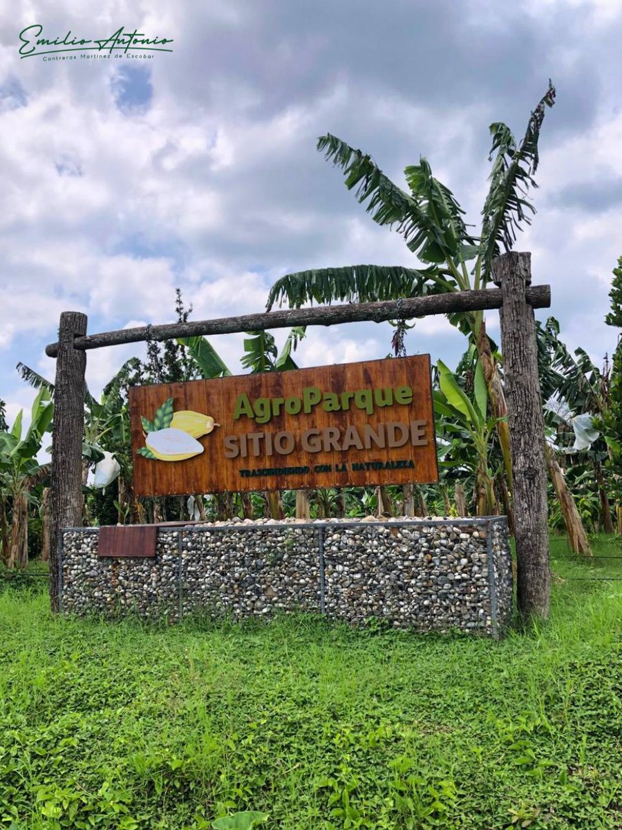 Emilio Contreras Martínez de Escobar tweet media