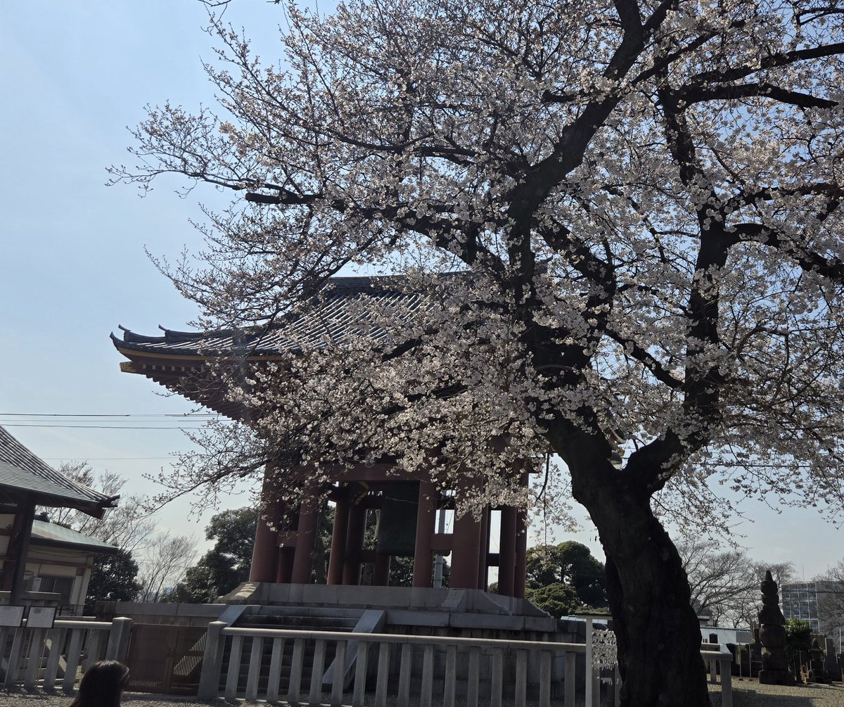 べティ tweet media