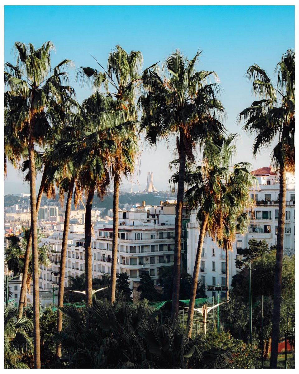 أكرم tweet media