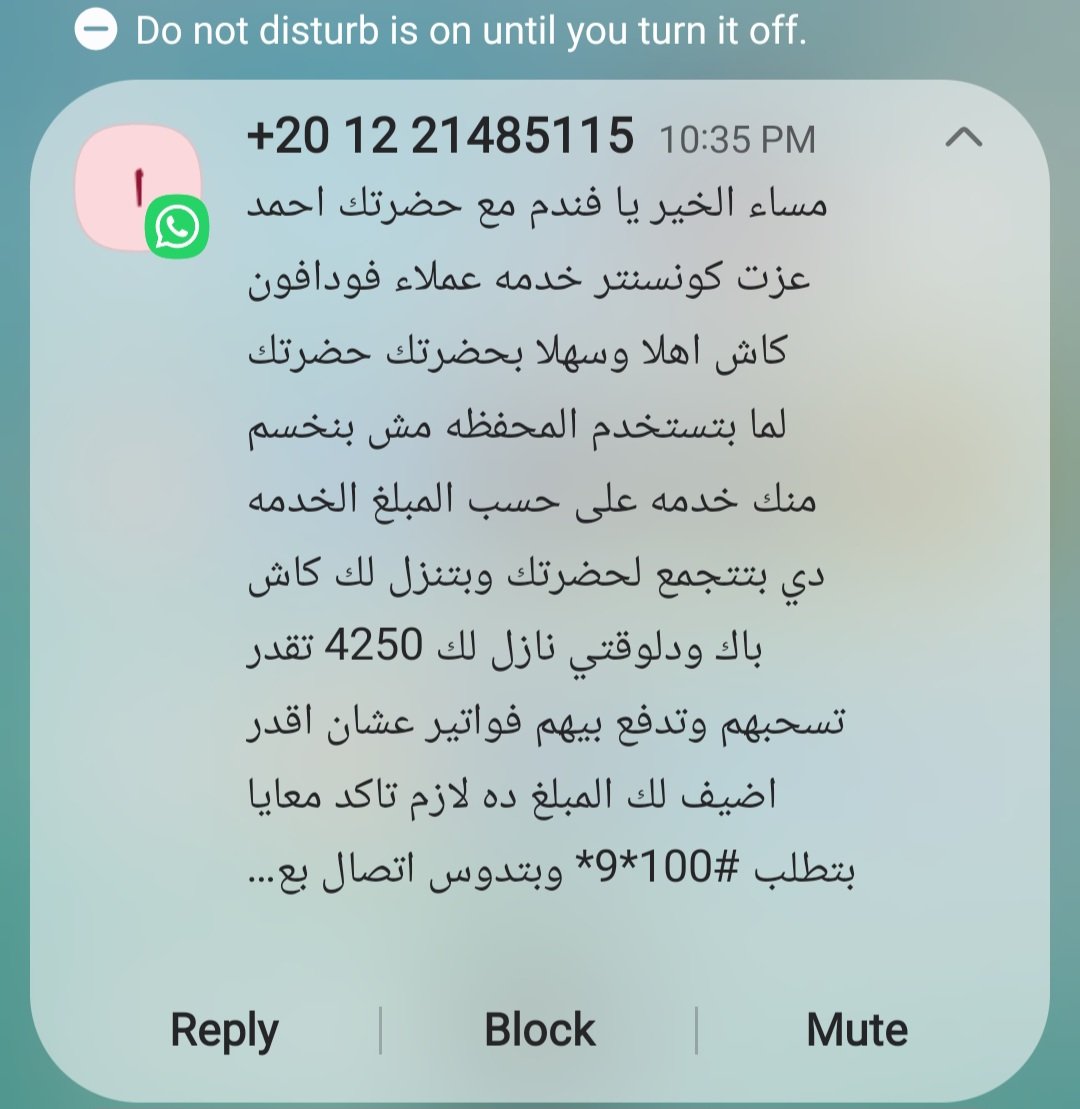 Yehia 🌴 tweet media