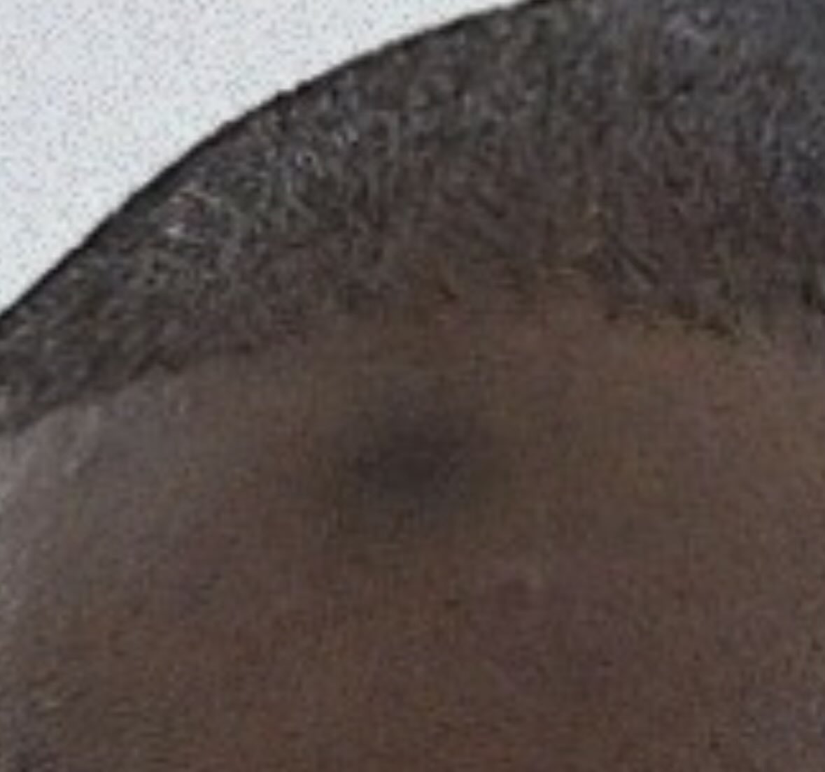 ℂ𝕠𝕞𝕞𝕒𝕟𝕕𝕖𝕣𝕋𝕠𝕣𝕖𝕟𝕟 ✨ tweet media