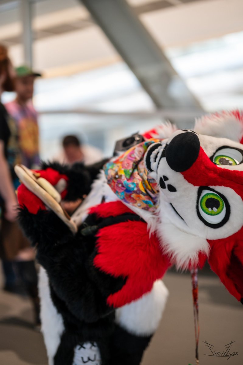 🥞GNAR THE PANCAKE YOTE🥞 tweet media