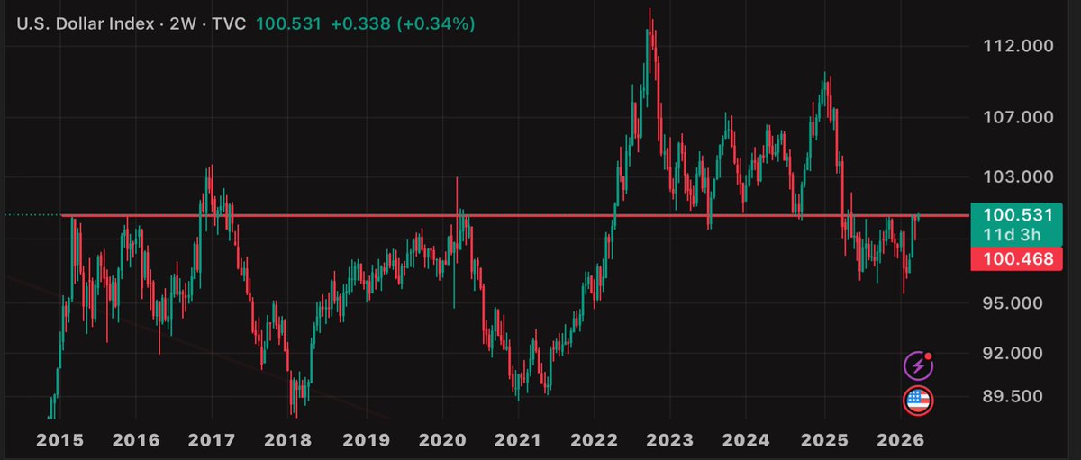 BulgingBull tweet media