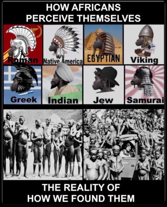 Paulie Penguins tweet media