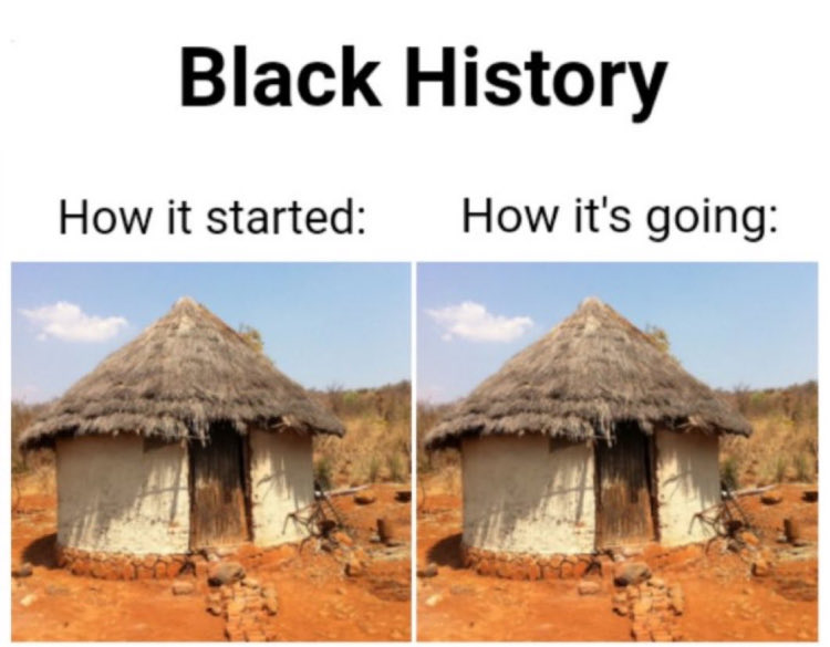 Paulie Penguins tweet media