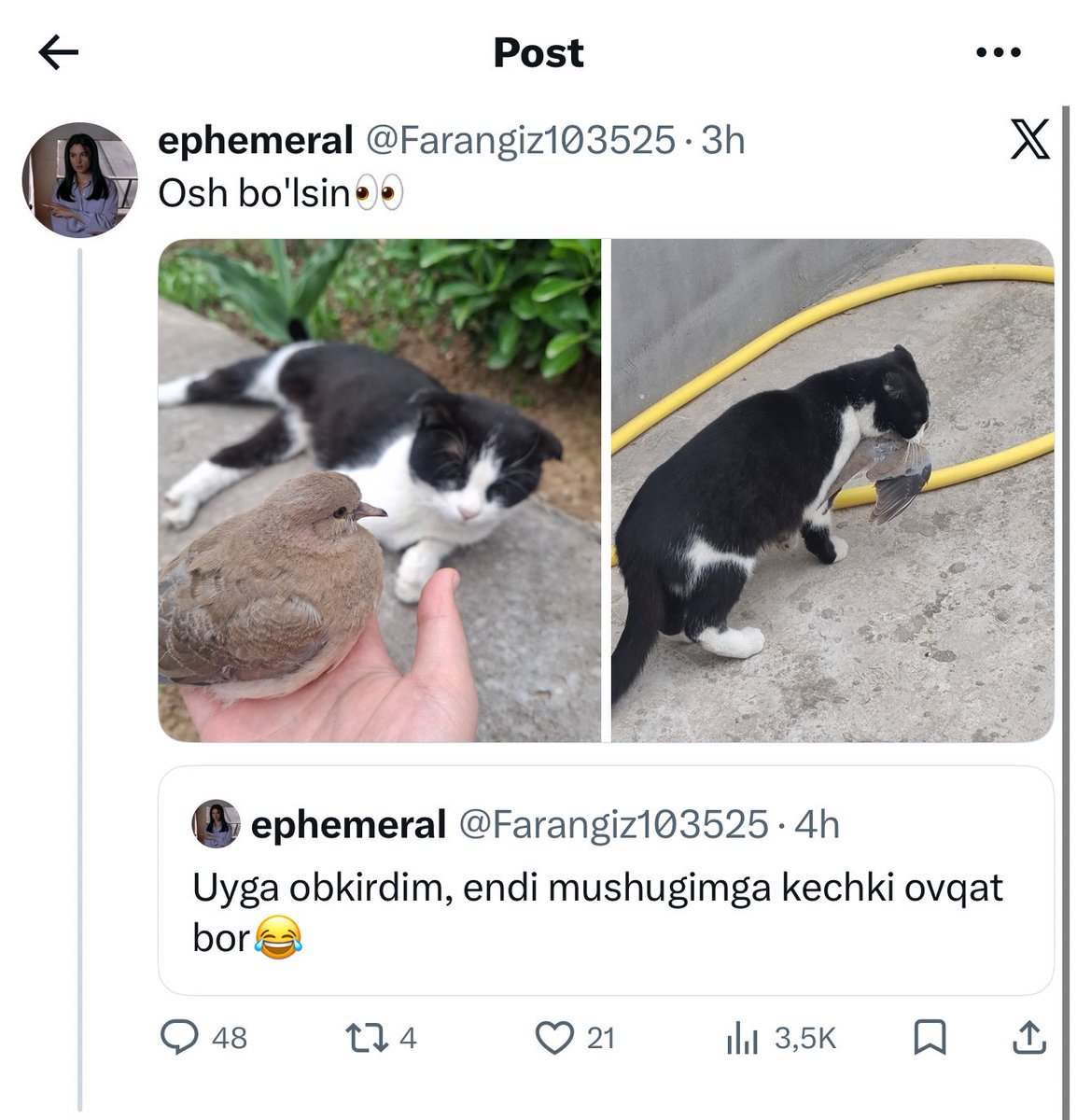 Context Of XHuman tweet media