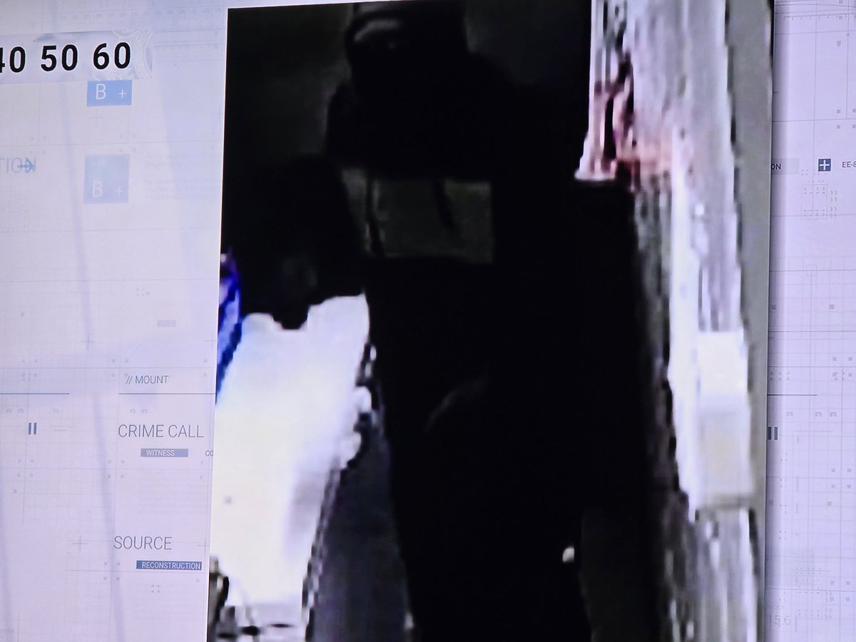 The_Modest_Observer tweet media