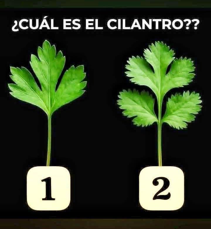 OZUNA 🧚🏻‍♂️❥ tweet media