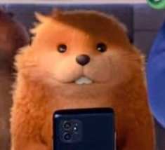 MapacheMistico tweet media