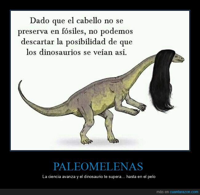 Cuánta Razón tweet media