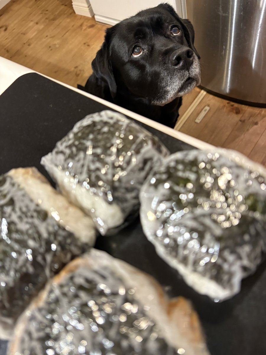 ジュンモンとエールちゃん tweet media