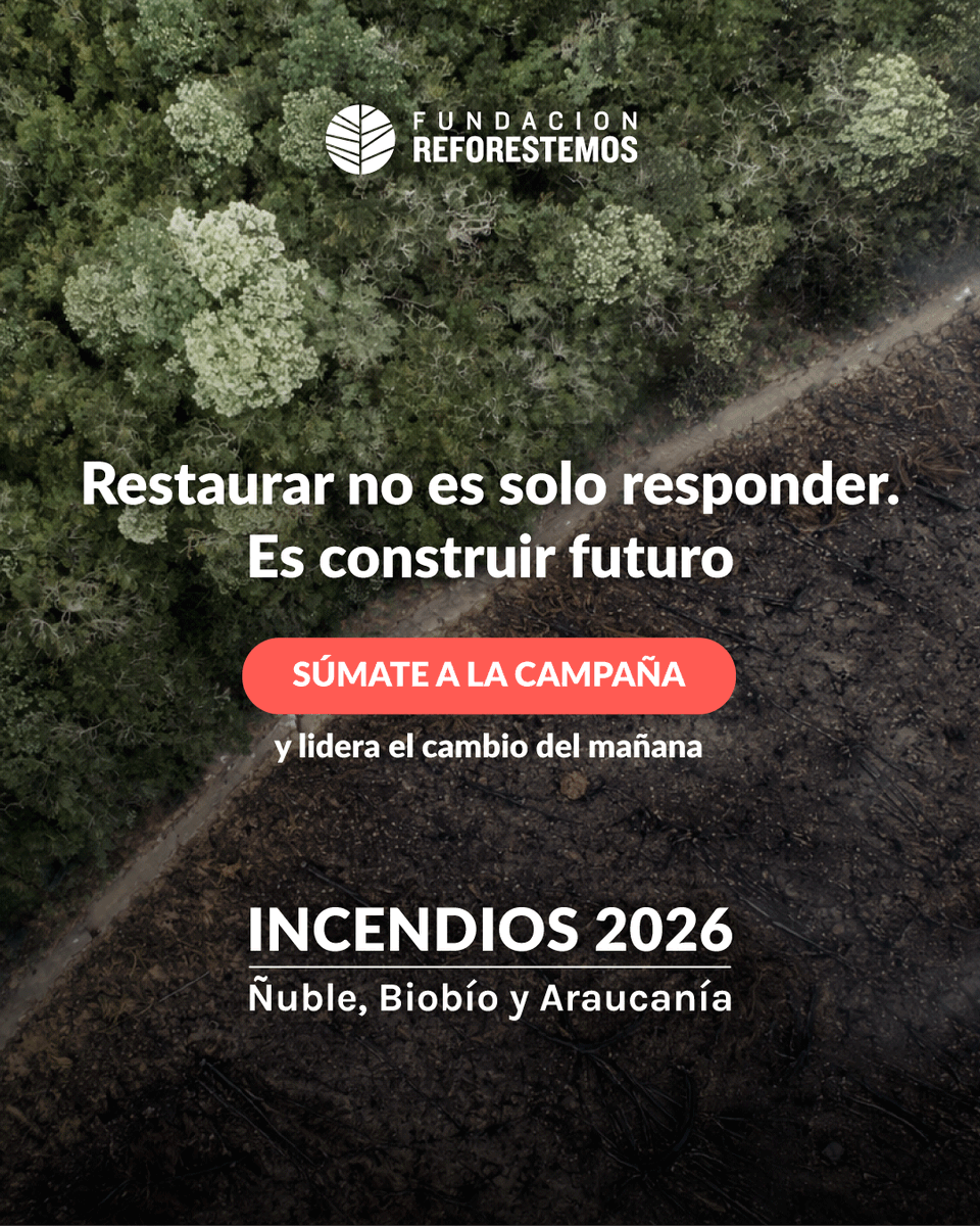 Fundación Reforestemos tweet media