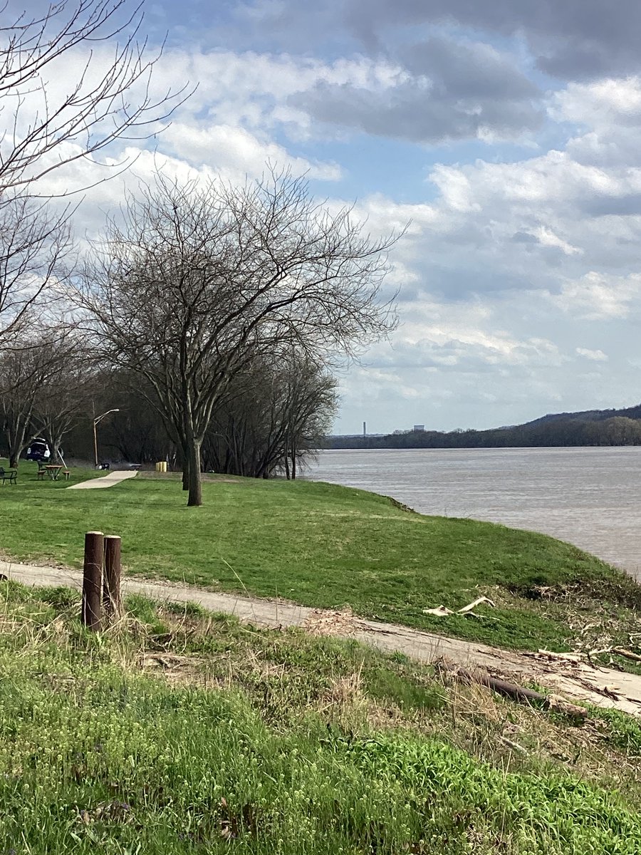 The Dixie⚜️🇻🇦 tweet media