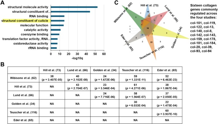 Aging Science News tweet media